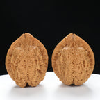 “Toad Head” High-Matched 4-Sided Golden Toad Yunnan Iron Wenwan Walnuts Pair | Size:35L*40W*43H | UPI:UR-00098