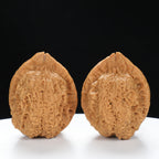 “Toad Head” High-Matched 4-Sided Golden Toad Yunnan Iron Wenwan Walnuts Pair | Size:35L*40W*43H | UPI:UR-00098