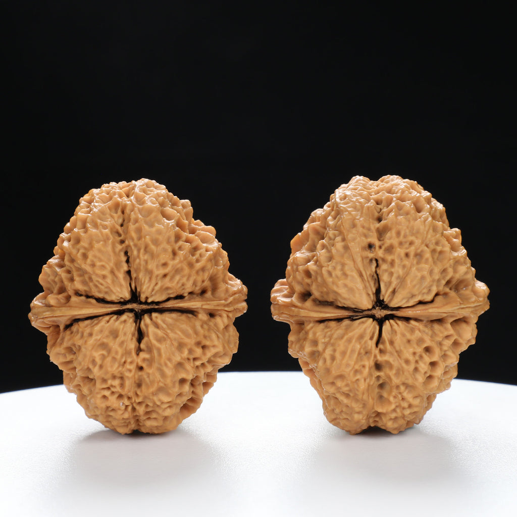 “Toad Head” High-Matched 4-Sided Golden Toad Yunnan Iron Wenwan Walnuts Pair | Size:35L*40W*43H | UPI:UR-00098