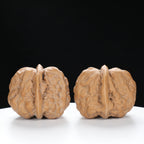 ”Toad Head” Golden Toad Hamato Wenwan Walnuts Pair | Size:36L*40W*33H | UPI:UR-00008