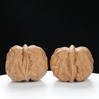 ”Toad Head” Golden Toad Hamato Wenwan Walnuts Pair | Size:36L*40W*33H | UPI:UR-00008