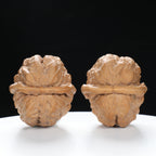 ”Toad Head” Golden Toad Hamato Wenwan Walnuts Pair | Size:36L*40W*33H | UPI:UR-00008