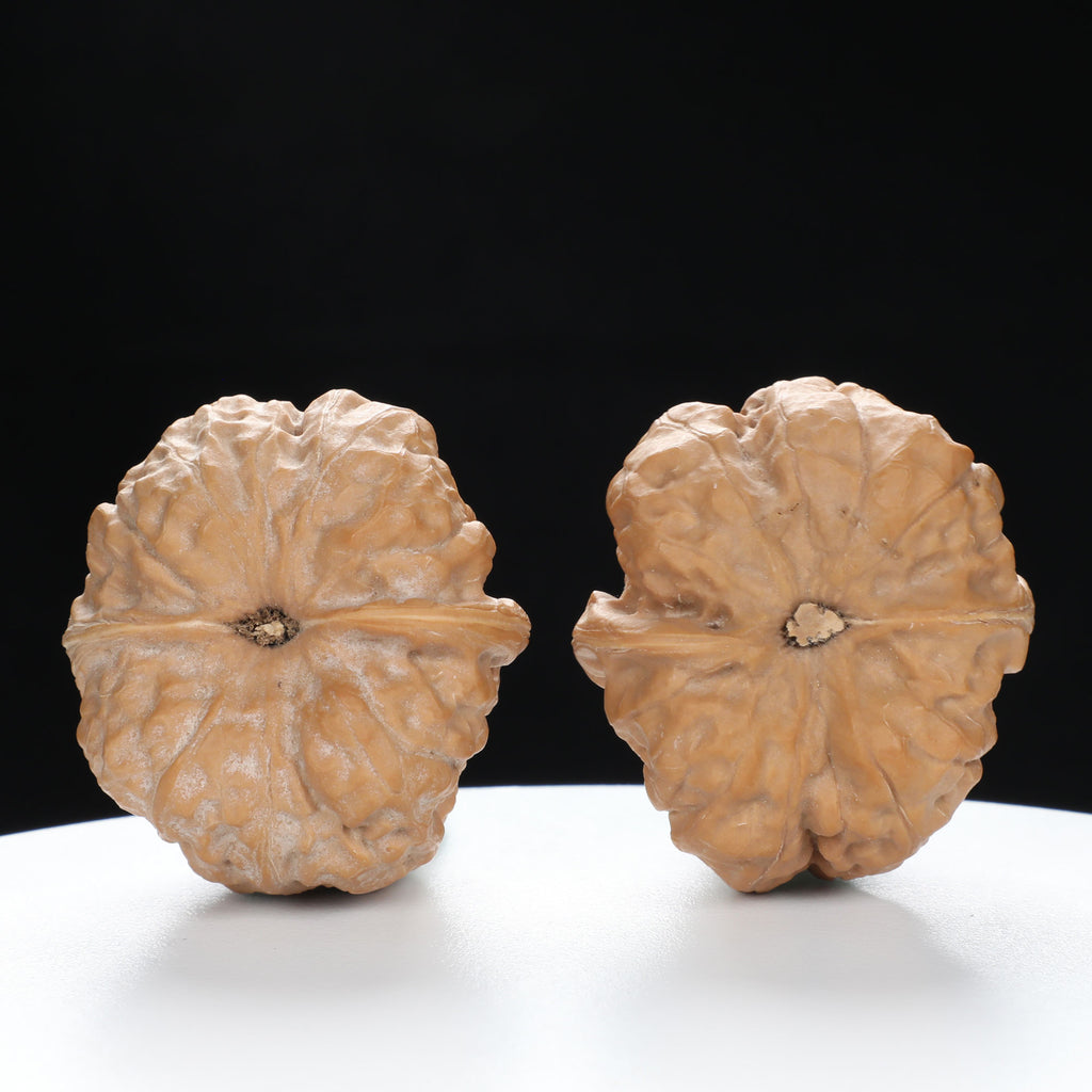 ”Toad Head” Golden Toad Hamato Wenwan Walnuts Pair | Size:36L*40W*33H | UPI:UR-00008