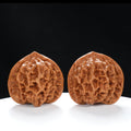 “Qilin Scale Pattern” Imperial Collection Qilin Guanmao Walnuts Pair | Size:47L*45W*43H | UPI:UR-00053