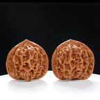 “Qilin Scale Pattern” Imperial Collection Qilin Guanmao Walnuts Pair | Size:47L*45W*43H | UPI:UR-00053