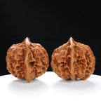 “Qilin Scale Pattern” Imperial Collection Qilin Guanmao Walnuts Pair | Size:47L*45W*43H | UPI:UR-00053