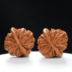 “Qilin Scale Pattern” Imperial Collection Qilin Guanmao Walnuts Pair | Size:47L*45W*43H | UPI:UR-00053