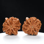 “Qilin Scale Pattern” Imperial Collection Qilin Guanmao Walnuts Pair | Size:47L*45W*43H | UPI:UR-00053