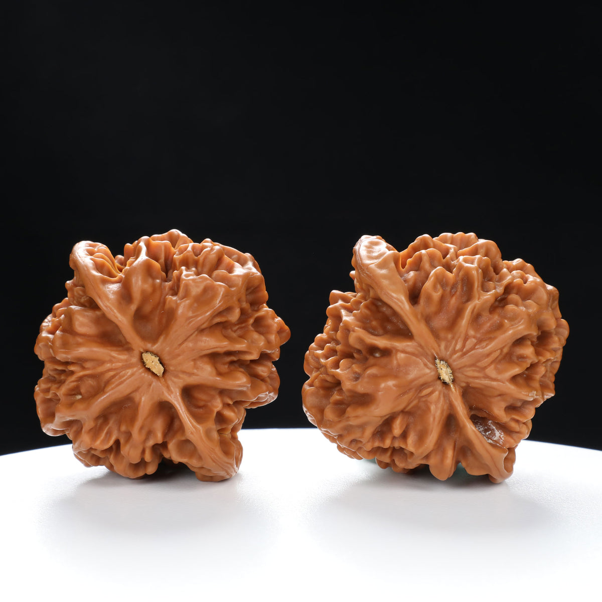 “Qilin Scale Pattern” Imperial Collection Qilin Guanmao Walnuts Pair | Size:47L*45W*43H | UPI:UR-00053