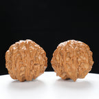 “Snake Head” Compact Mini Snake Head Treasure Basin Deformed Wenwan Walnuts Pair | Size:35L*25W*30H | UPI:UR-00093