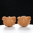 “Snake Head” Compact Mini Snake Head Treasure Basin Deformed Wenwan Walnuts Pair | Size:35L*25W*30H | UPI:UR-00093