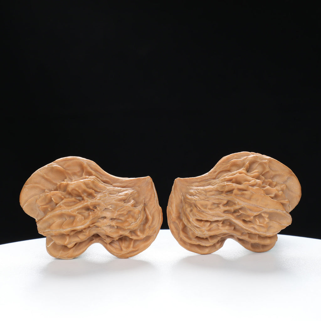 “Penguin” Natural Penguin-Shaped Irregular Wenwan Walnuts Pair | Size:30L*28W*37H | UPI:UR-00067
