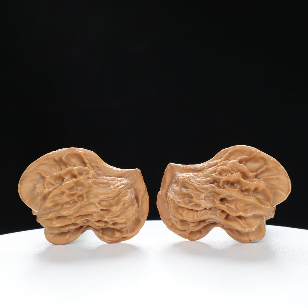 “Penguin” Natural Penguin-Shaped Irregular Wenwan Walnuts Pair | Size:30L*28W*37H | UPI:UR-00067