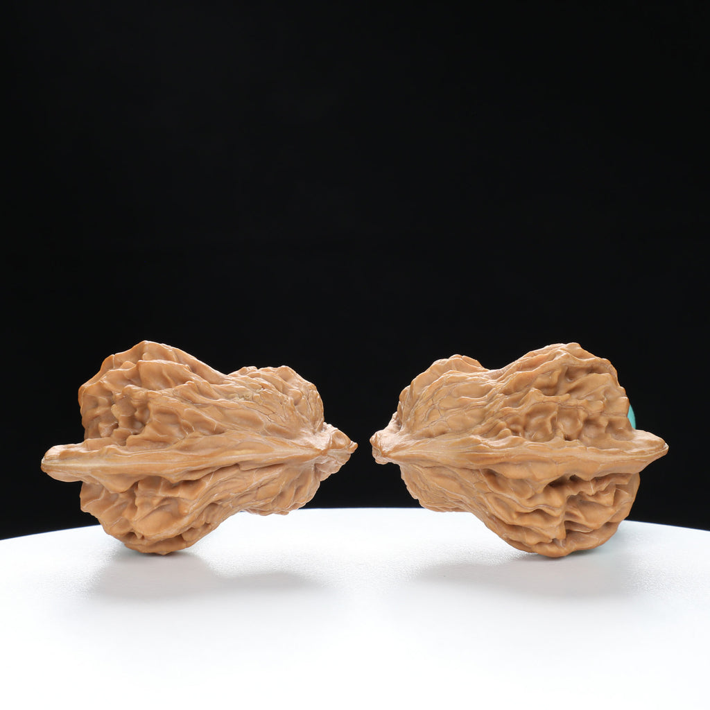 “Penguin” Natural Penguin-Shaped Irregular Wenwan Walnuts Pair | Size:30L*28W*37H | UPI:UR-00067