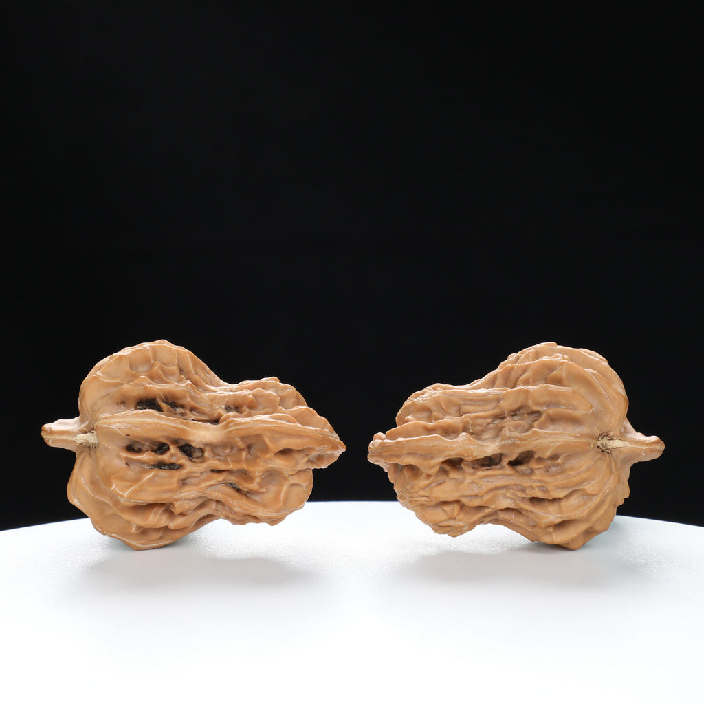 “Penguin” Natural Penguin-Shaped Irregular Wenwan Walnuts Pair | Size:30L*28W*37H | UPI:UR-00067