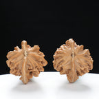 “Penguin” Natural Penguin-Shaped Irregular Wenwan Walnuts Pair | Size:30L*28W*37H | UPI:UR-00067