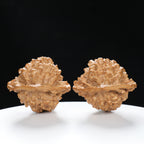 ”Large Mandarin Hat” Hand-Carved Fulushou Official's Cap Wenwan Walnuts Pair | Size:49L*43W*51H | UPI:UR-00091