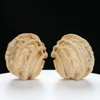 “Ghost Face” Natural Smiley Grimace Indonesian Walnuts Pair | Size:44L*45W*48H | UPI:UR-00099