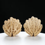 “Ghost Face” Natural Smiley Grimace Indonesian Walnuts Pair | Size:44L*45W*48H | UPI:UR-00099