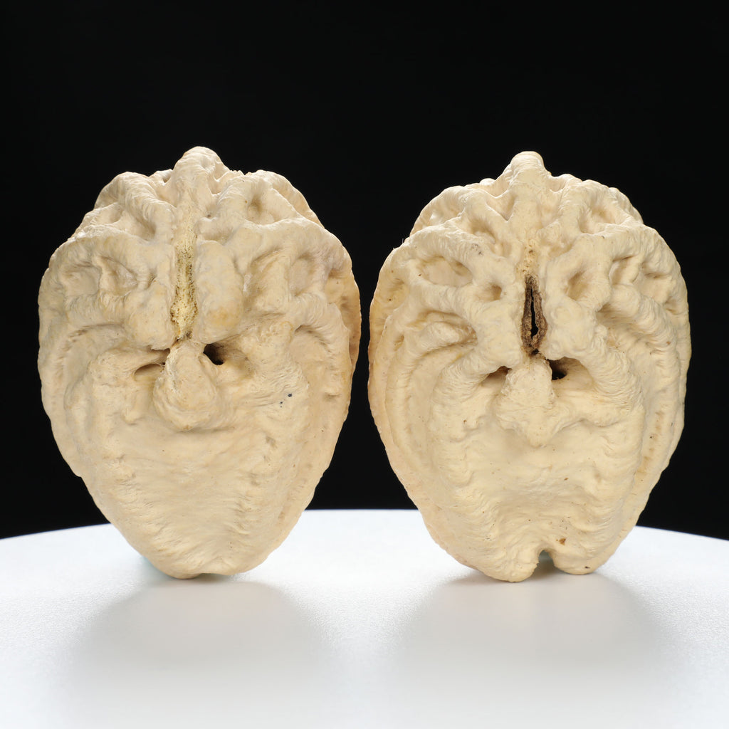 “Ghost Face” Natural Large-Nose Grimace Indonesian Walnuts Pair (Honker Duo) | Size:45L*47W*60H | UPI:UR-00100