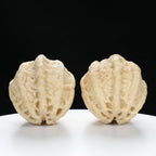 “Ghost Face” Natural Large-Nose Grimace Indonesian Walnuts Pair (Honker Duo) | Size:45L*47W*60H | UPI:UR-00100
