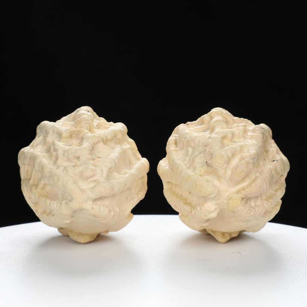 “Ghost Face” Natural Large-Nose Grimace Indonesian Walnuts Pair (Honker Duo) | Size:45L*47W*60H | UPI:UR-00100