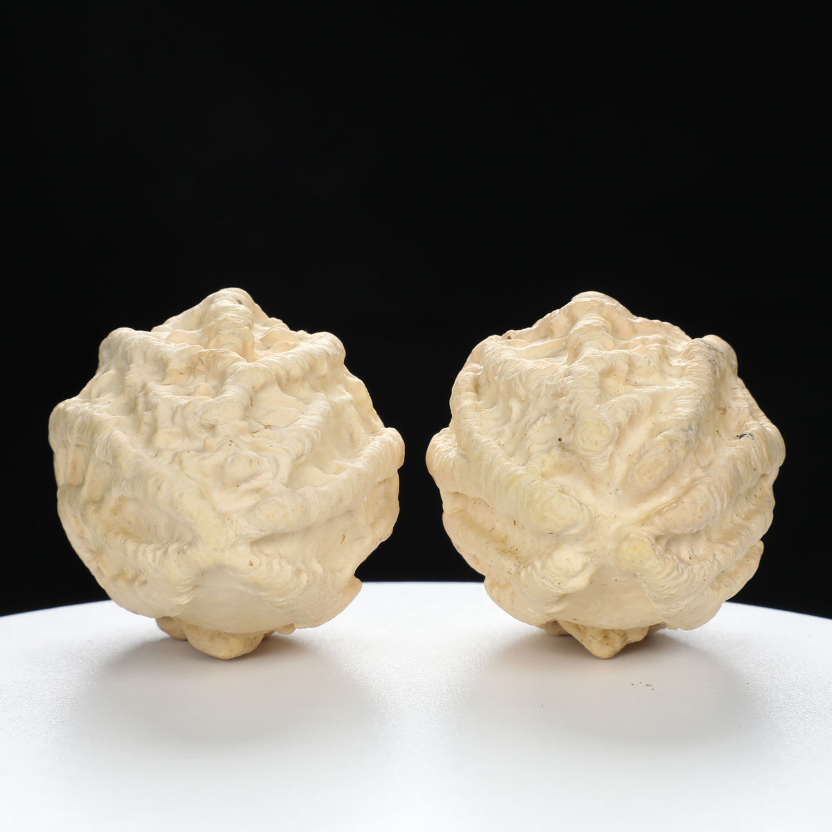 “Ghost Face” Natural Large-Nose Grimace Indonesian Walnuts Pair (Honker Duo) | Size:45L*47W*60H | UPI:UR-00100