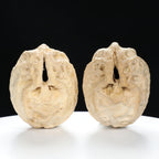 "Ghost Face" "Grumpy & Grouch" Natural Grimace Indonesian Walnuts Pair | Size:42L*43W*52H | UPI:UR-00101