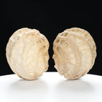 "Ghost Face" "Grumpy & Grouch" Natural Grimace Indonesian Walnuts Pair | Size:42L*43W*52H | UPI:UR-00101