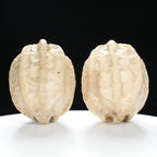 "Ghost Face" "Grumpy & Grouch" Natural Grimace Indonesian Walnuts Pair | Size:42L*43W*52H | UPI:UR-00101