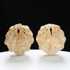 "Ghost Face" "Grumpy & Grouch" Natural Grimace Indonesian Walnuts Pair | Size:42L*43W*52H | UPI:UR-00101