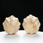 "Ghost Face" "Grumpy & Grouch" Natural Grimace Indonesian Walnuts Pair | Size:42L*43W*52H | UPI:UR-00101