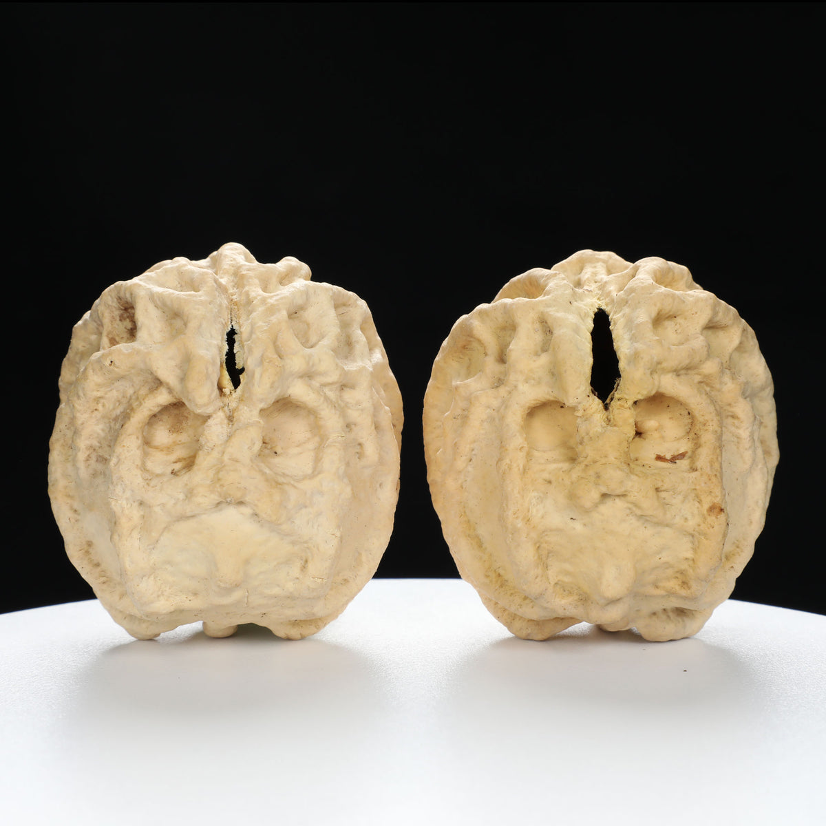 “Ghost Face” Baby Groot Inspired Natural Indonesian Grimace Walnuts Pair | Size:47L*45W*51H | UPI:UR-00102