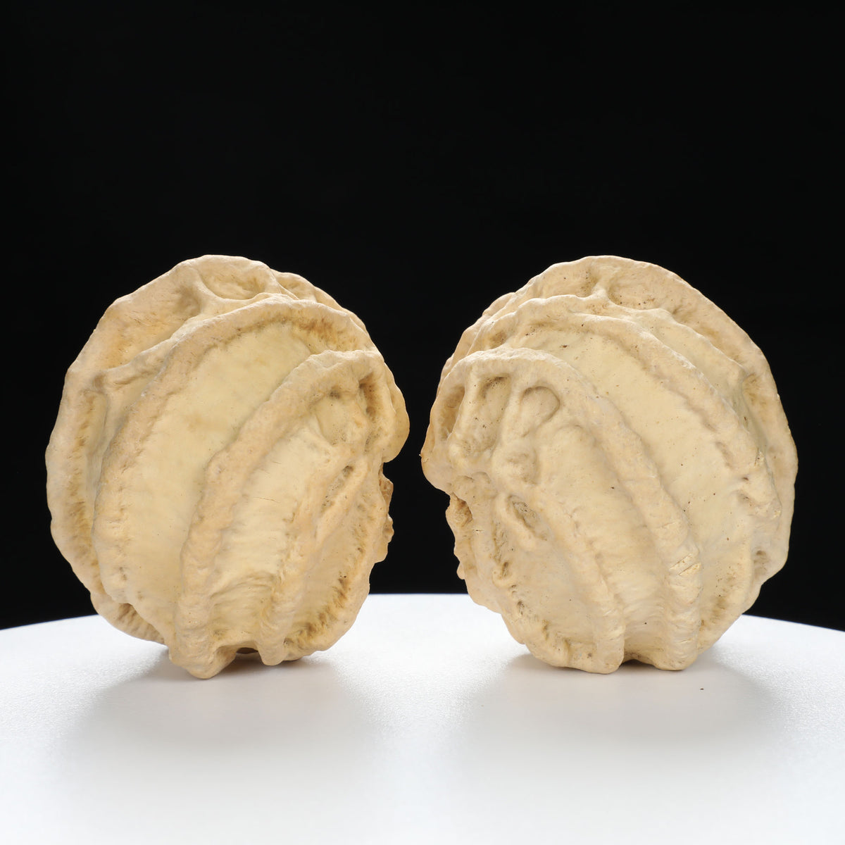“Ghost Face” Baby Groot Inspired Natural Indonesian Grimace Walnuts Pair | Size:47L*45W*51H | UPI:UR-00102