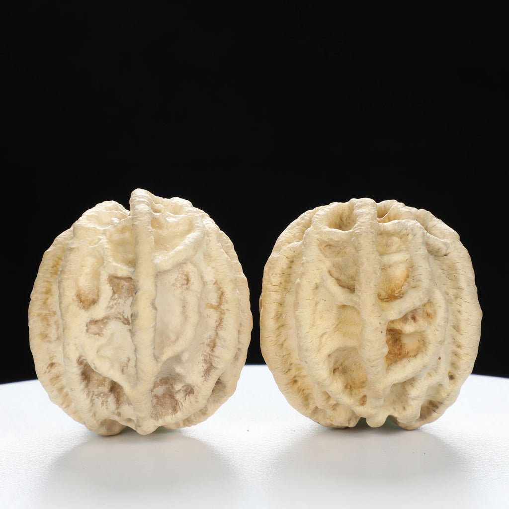 "Ghost Face" "Tiny Sweetheart Pair" Natural Indonesian Grimace Walnut Couple Set | Size:35L*33W*39H | UPI:UR-00103