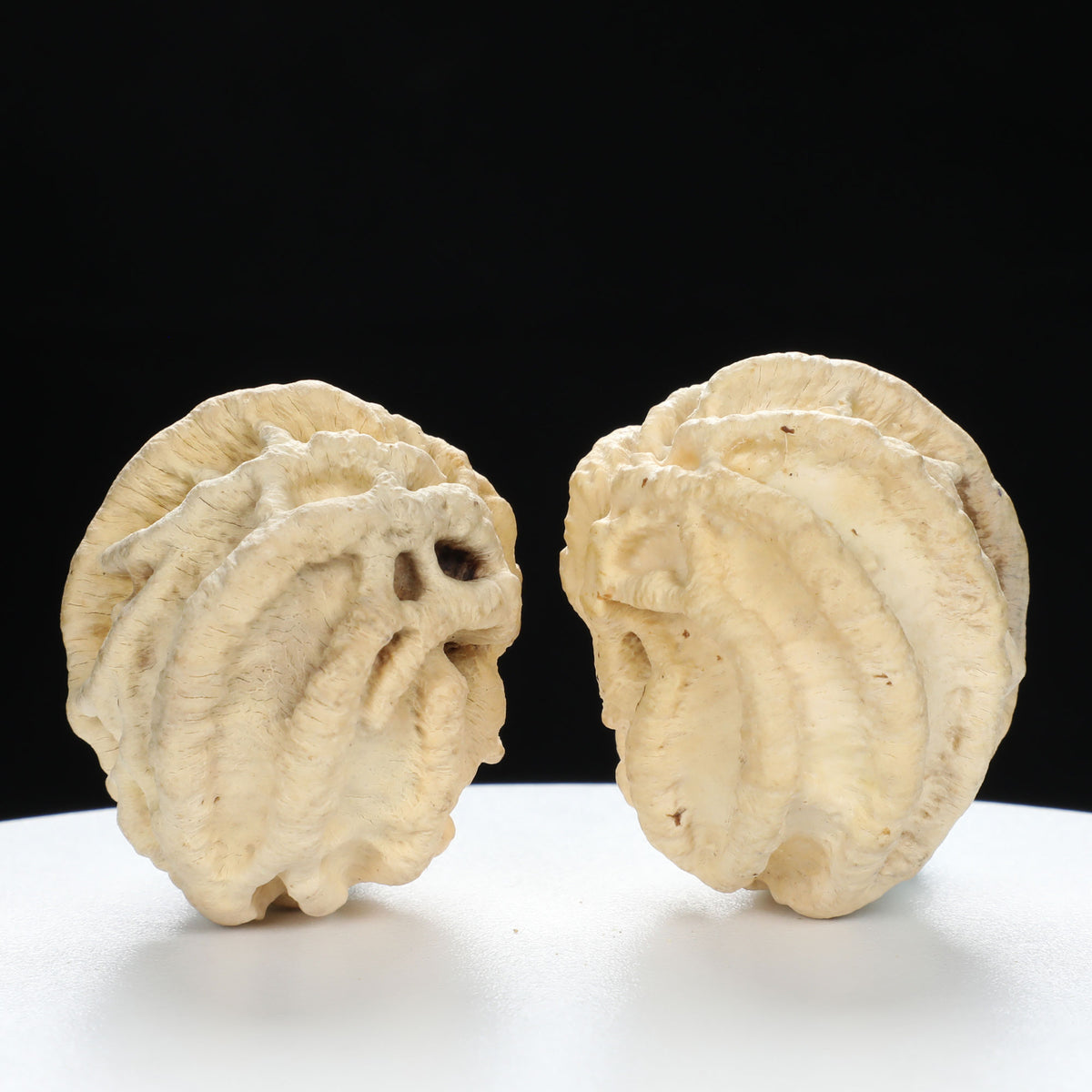 "Ghost Face" "Tiny Sweetheart Pair" Natural Indonesian Grimace Walnut Couple Set | Size:35L*33W*39H | UPI:UR-00103
