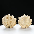 "Ghost Face" "Tiny Sweetheart Pair" Natural Indonesian Grimace Walnut Couple Set | Size:35L*33W*39H | UPI:UR-00103