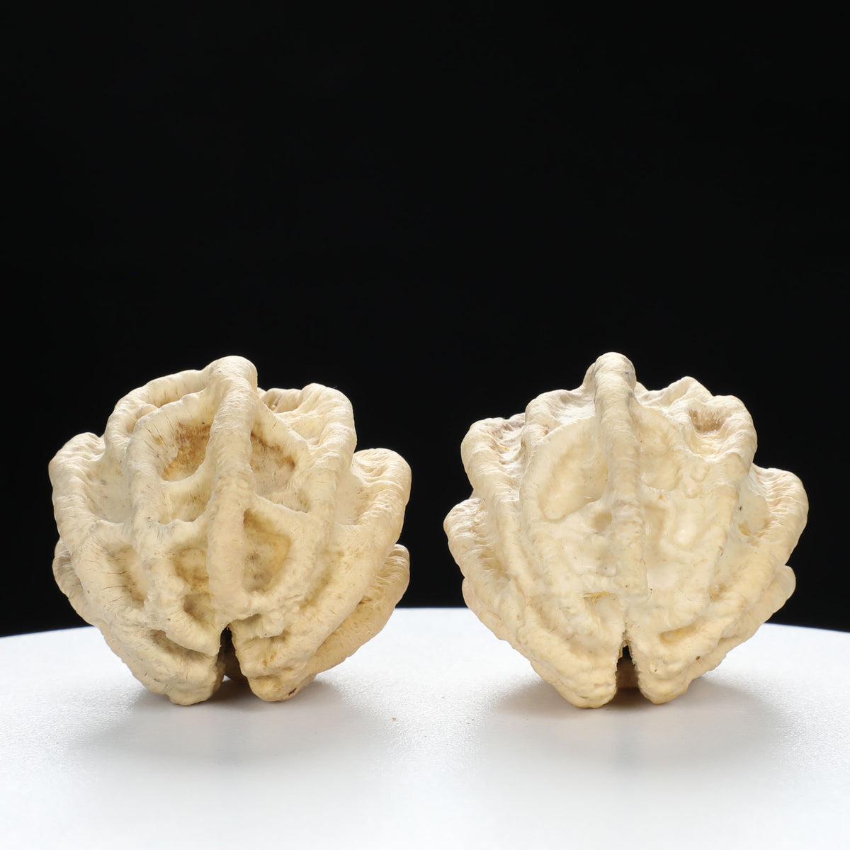 "Ghost Face" "Tiny Sweetheart Pair" Natural Indonesian Grimace Walnut Couple Set | Size:35L*33W*39H | UPI:UR-00103