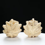 "Ghost Face" "Tiny Sweetheart Pair" Natural Indonesian Grimace Walnut Couple Set | Size:35L*33W*39H | UPI:UR-00103