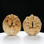"Ghost Face" "Dumb and Dumber" Goofy Face Natural Indonesian Grimace Walnuts Pair | Size:43L*44W*49H | UPI:UR-00104