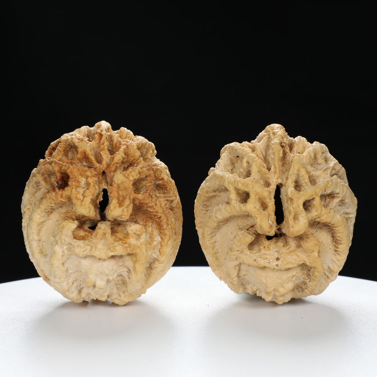 "Ghost Face" "Dumb and Dumber" Goofy Face Natural Indonesian Grimace Walnuts Pair | Size:43L*44W*49H | UPI:UR-00104