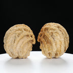 "Ghost Face" "Dumb and Dumber" Goofy Face Natural Indonesian Grimace Walnuts Pair | Size:43L*44W*49H | UPI:UR-00104