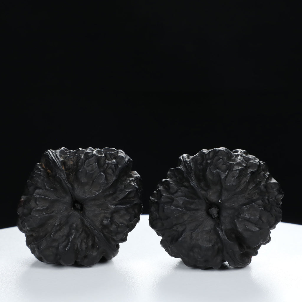 “Toad Head” Earth-Cured Dark Patina Yunnan Iron Toad Wenwan Walnuts Pair | Size:35L*37W*30H | UPI:UR-00106