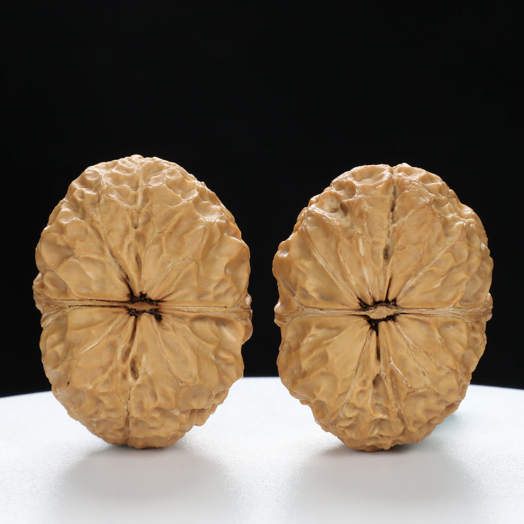 “Fortune Ingot” Big Yuanbao Gold Ingot Shape Yunnan Cloud Iron Wenwan Walnuts Pair | Size:33L*44W*35H | UPI:UR-00109