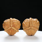 “Three-Ridged” Y-Shaped Mini Hammer Compact Triple-Ridge Wenwan Walnuts Pair | Size:34L*34W*32H | UPI:UR-00110
