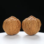 “Three-Ridged” Collector's Highly Matched Y-Form Toad Head Triple-Ridge Wenwan Walnuts Pair | Size:38L*39W*38H | UPI:UR-00111