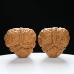 “Three-Ridged” Collector's Highly Matched Y-Form Toad Head Triple-Ridge Wenwan Walnuts Pair | Size:38L*39W*38H | UPI:UR-00111