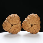 “Three-Ridged” Collector's Highly Matched Y-Form Toad Head Triple-Ridge Wenwan Walnuts Pair | Size:38L*39W*38H | UPI:UR-00111