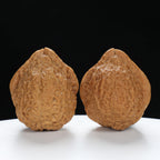 “Toad Head” Peach-Form Golden Toad Hamato Wenwan Walnuts Pair | Size:35L*39W*41H | UPI:UR-00112