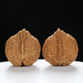 “Toad Head” Peach-Form Golden Toad Hamato Wenwan Walnuts Pair | Size:35L*39W*41H | UPI:UR-00112